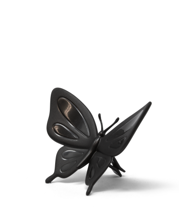 Butterfly | Black Cucumber