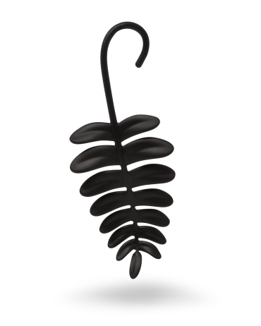 Fern | Black Pine Forest