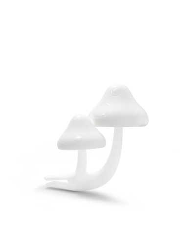 Mushrooms | White Sandal&Incense