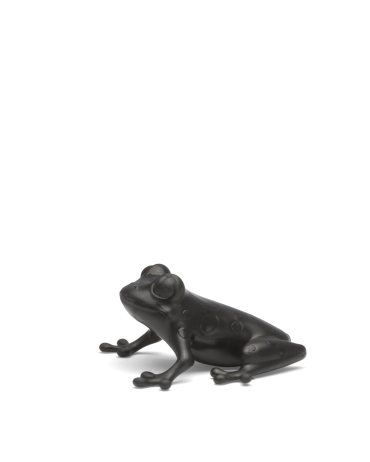 Frog | Black Bergamot&Iris