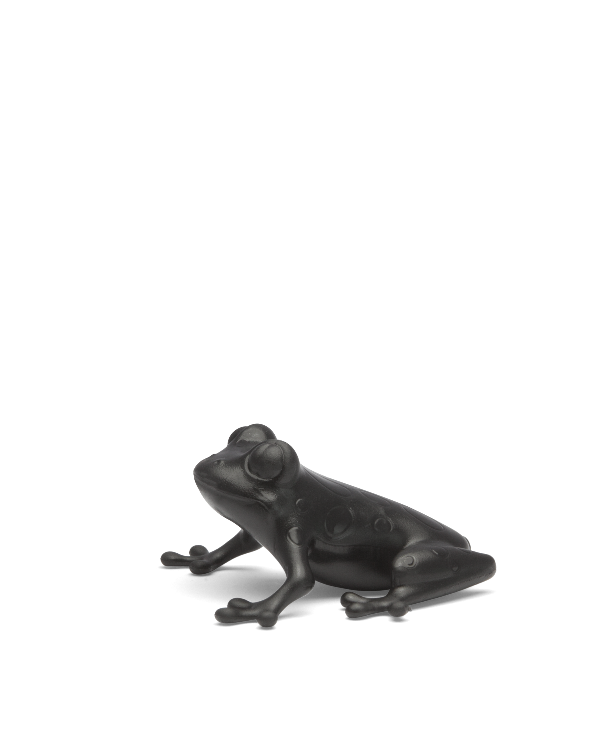 Frog Black Bergamot&Iris